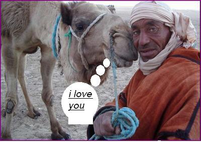 je t'aime hani